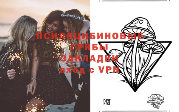 экстази Елабуга