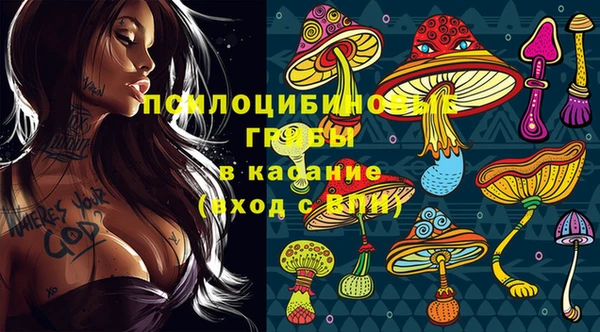 дмт Елизово