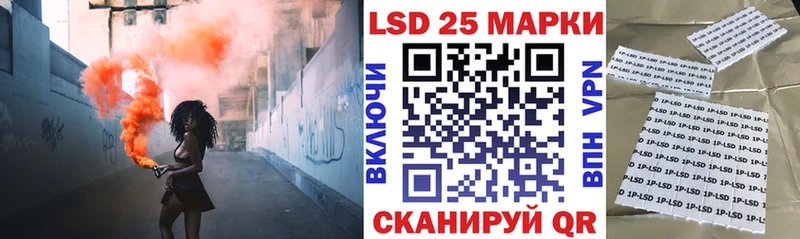 Купить закладки  Волгореченск  Наркотические марки 1500мкг 