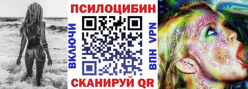 Купить где  Волгореченск  Псилоцибиновые грибы Psilocybine cubensis 